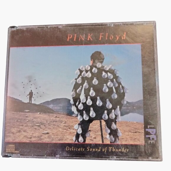 Pink Floyd Delicate Sound of Thunder CD Classic Rock 2 disc set - Picture 2 of 8